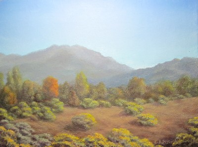 Santa Fe Chamisa in Bloom